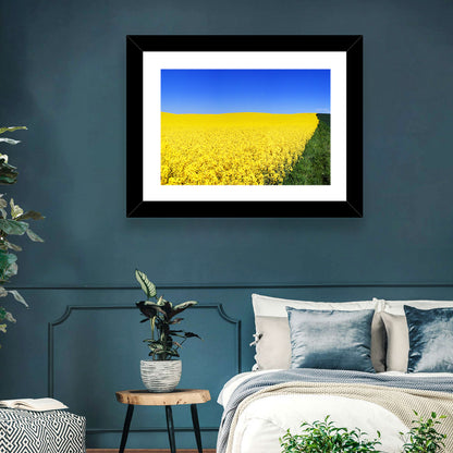 Sunlit Rapeseed Field Wall Art