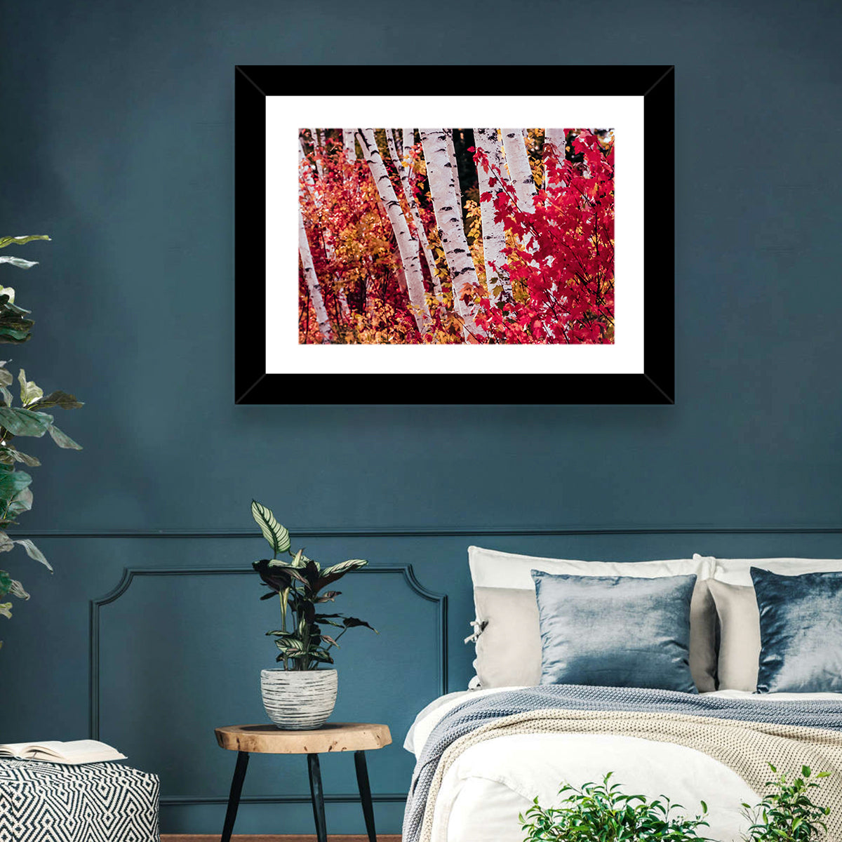 Autumn Birches with Crimson Maples Wall Art