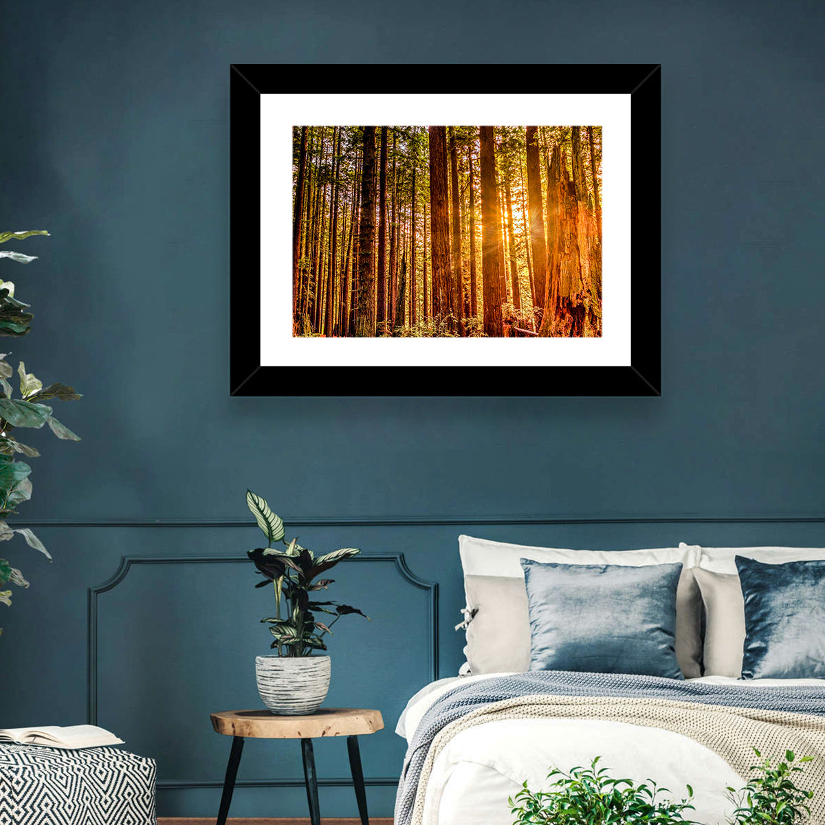 Golden Hour Redwood Sunburst Wall Art in a room, landscape