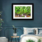 Mossy Rainforest Stream Wall Art