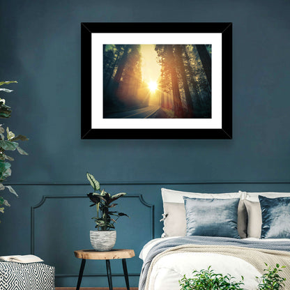 Misty Redwood Road with Golden Sunburst Wall Art