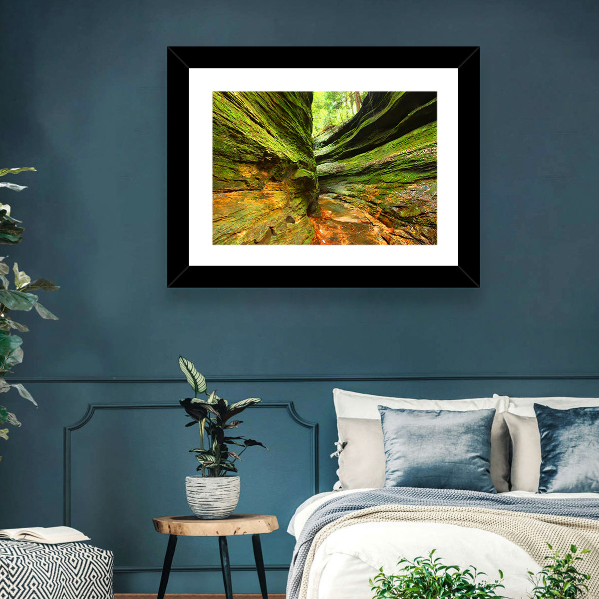Turkey Run State Park Canyon Wall Art in a room, landscape