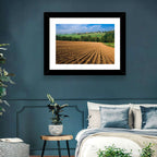 Kansas Wheat Fields Wall Art
