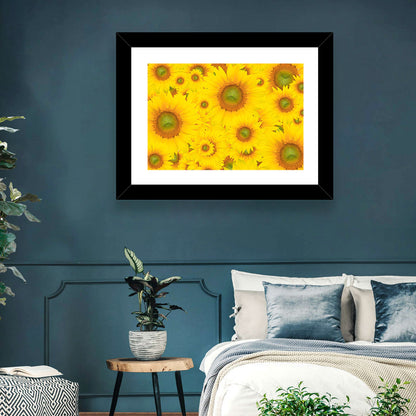 Sunflower Field Close-up in Yellow Wall Art