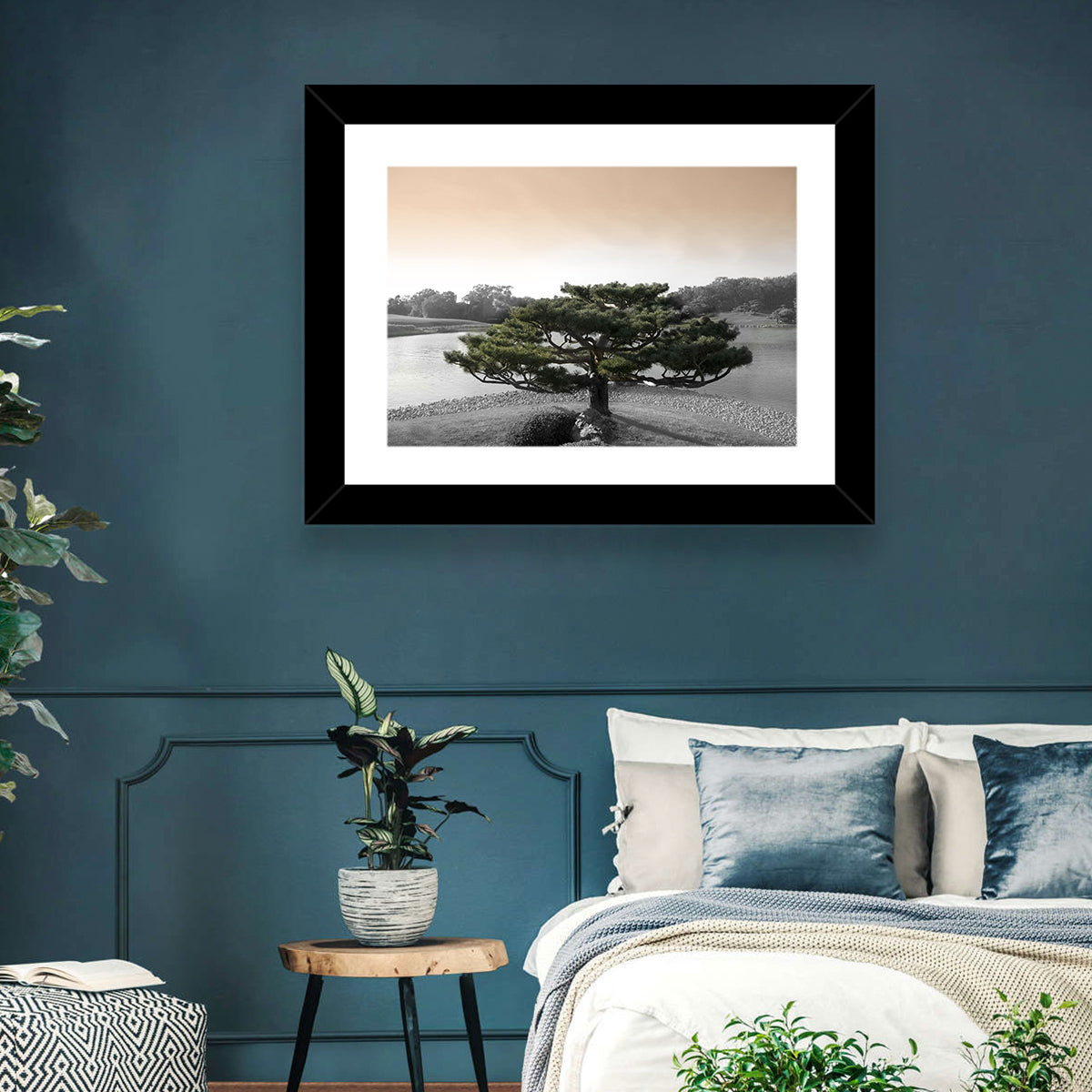 Bonsai Pine in Japanese Garden Wall Art