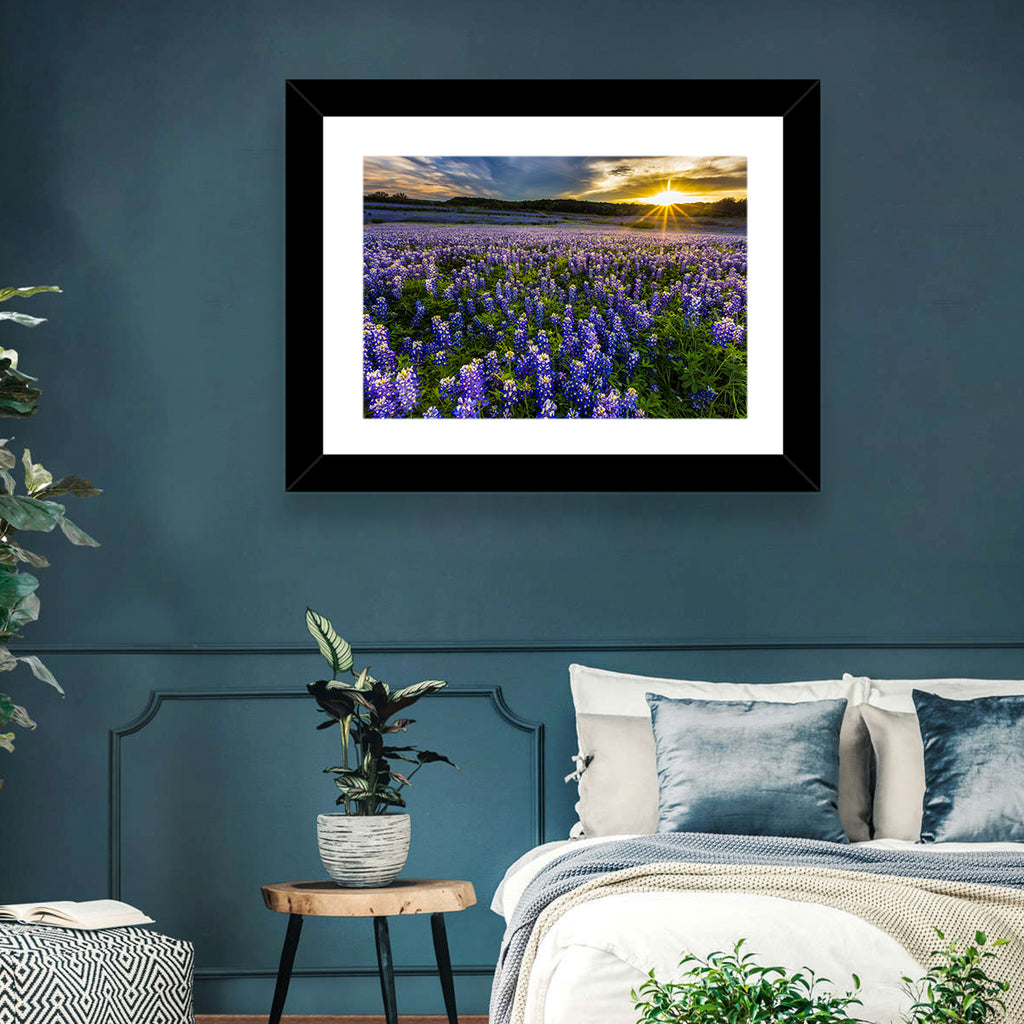 Texas Bluebonnet Field at Sunset Wall Art