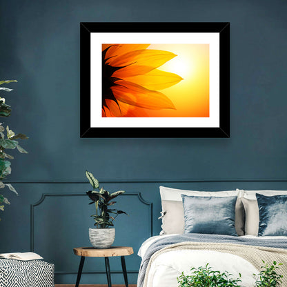 Backlit Sunflower Petals Wall Art