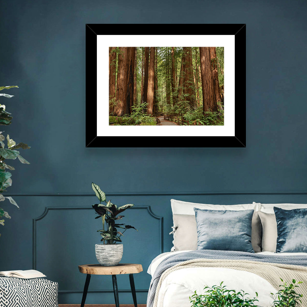 Muir Woods Redwood Trail Wall Art in a room, landscape