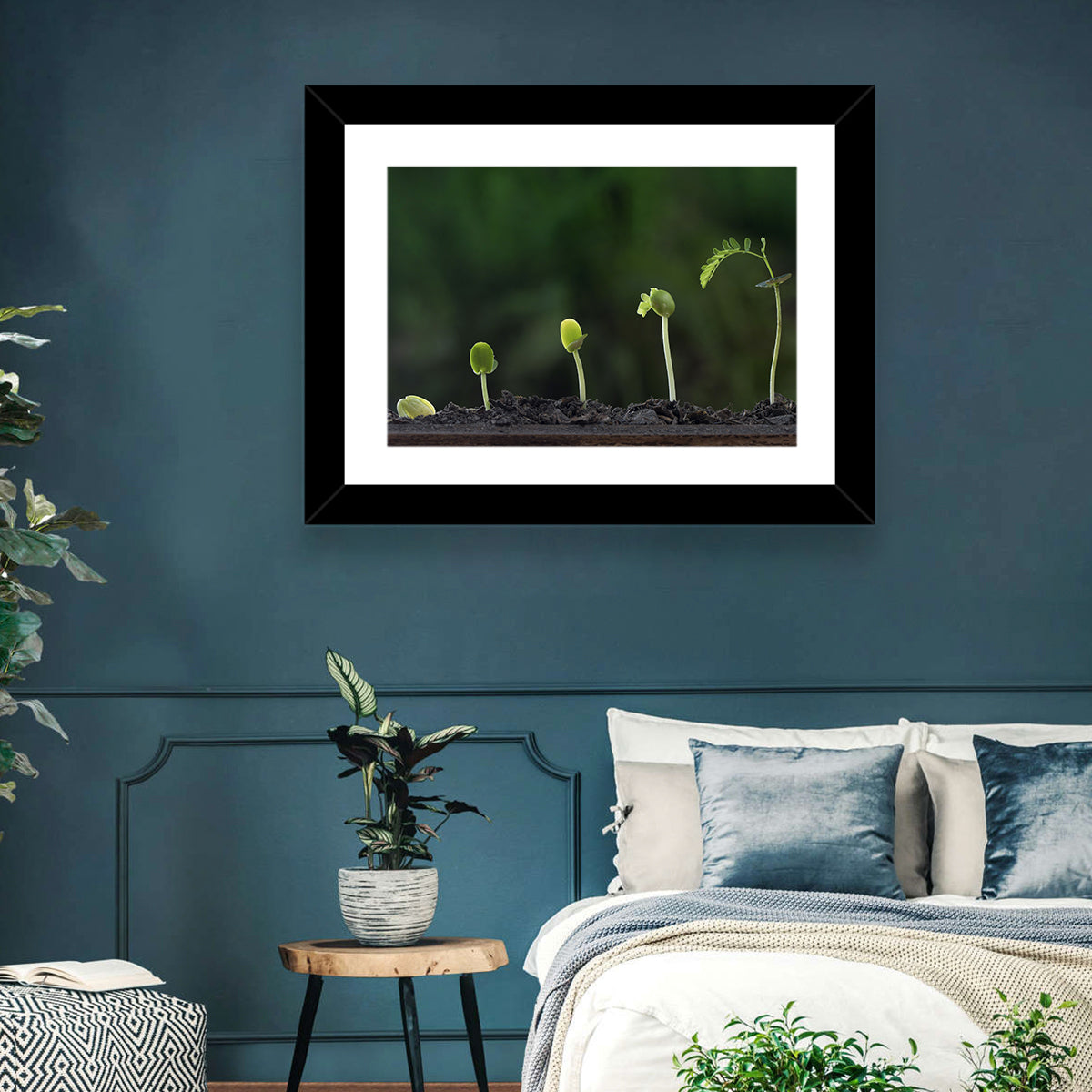 Five-stage Plant Growth Wall Art