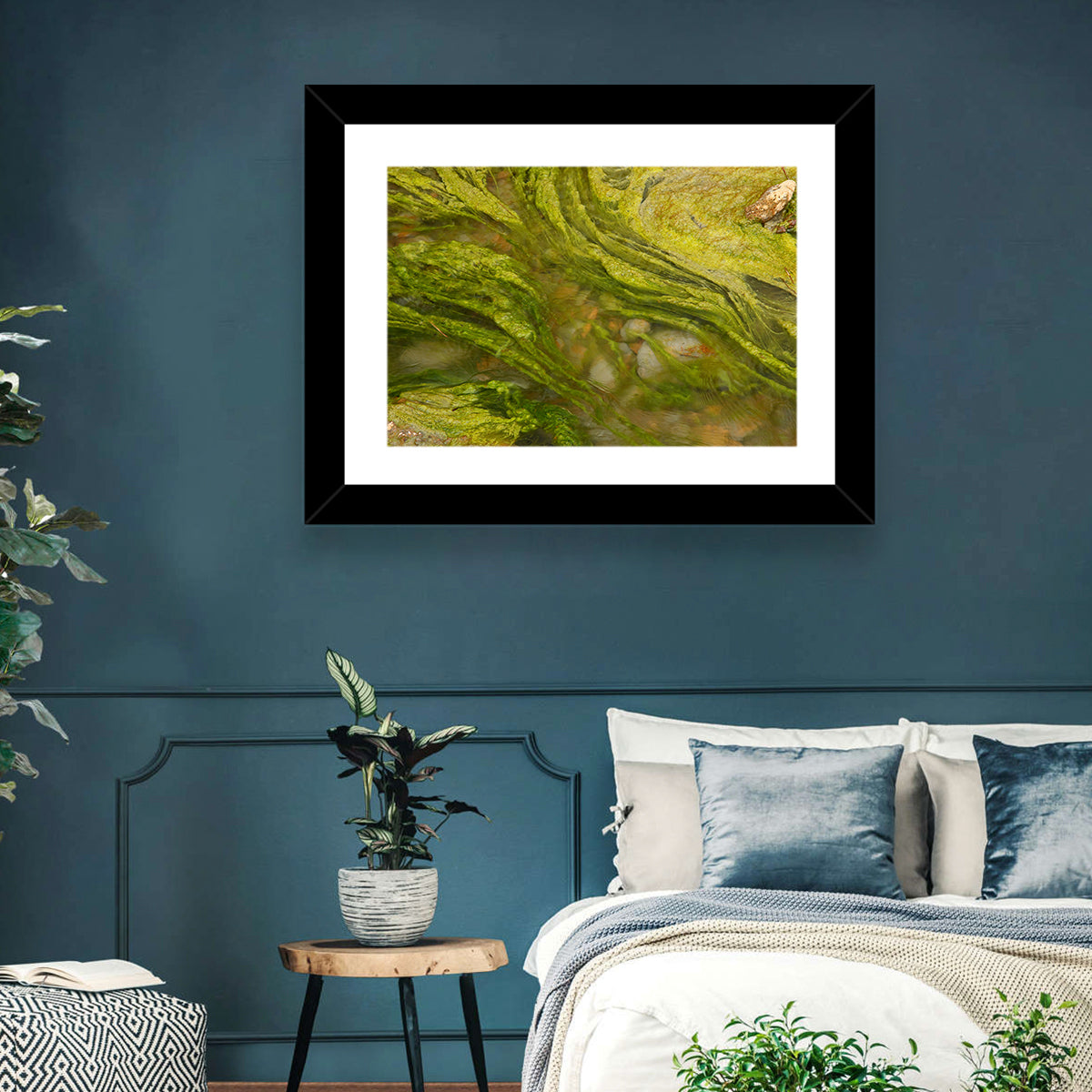 Macro Algae Stream Wall Art in a room, landscape