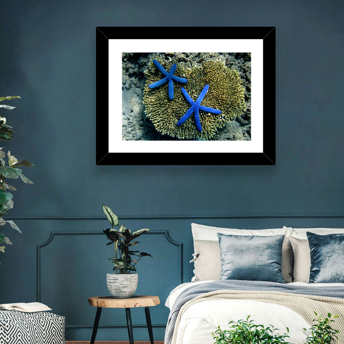 Blue Starfish Wall Art in a room, landscape
