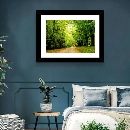 Forest Illuminated Pathway Wall Art