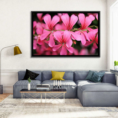 Geranium Flowers Wall Art