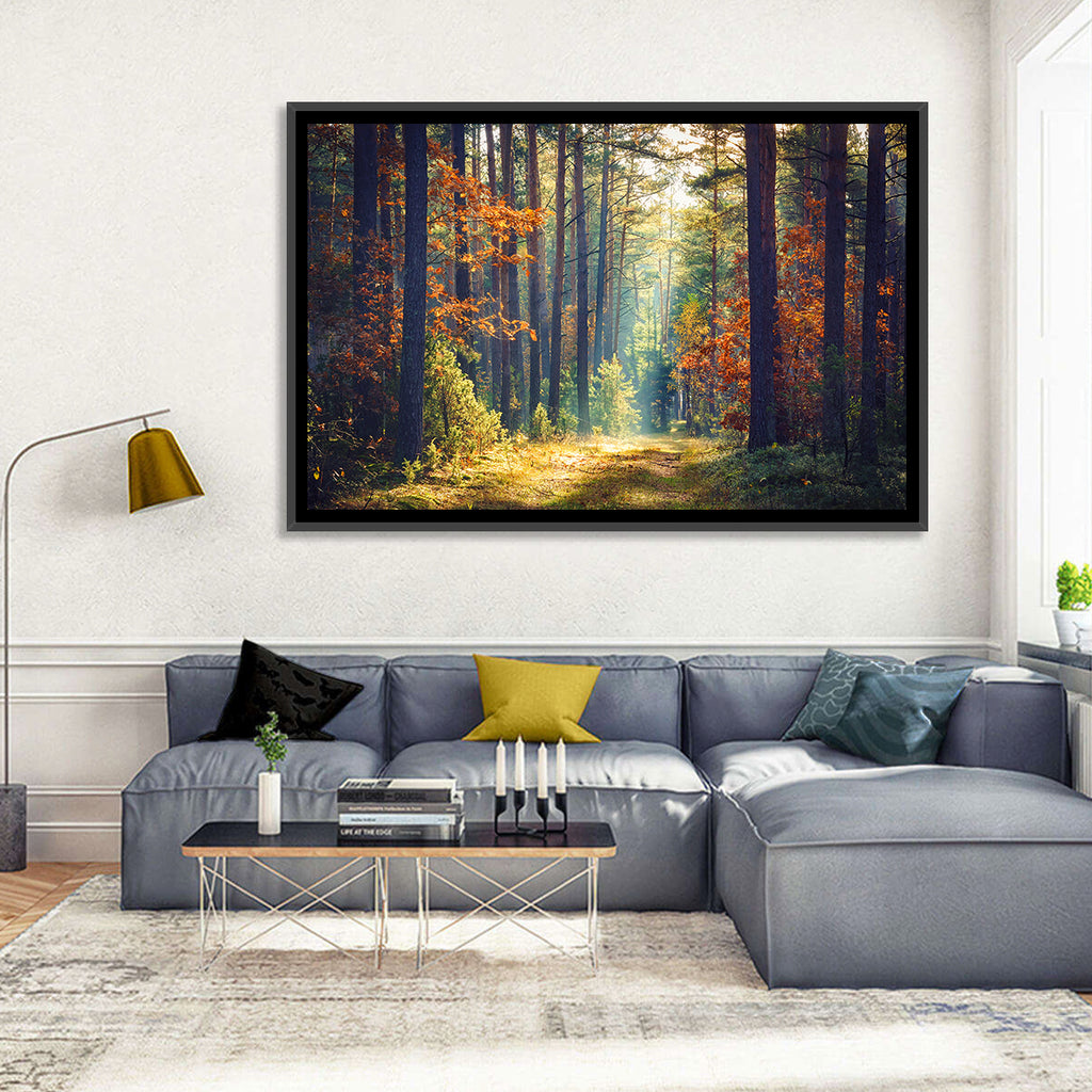 Sunlit Autumn Pine Forest Wall Art