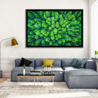 Whakarewarewa Forest Canopy Wall Art
