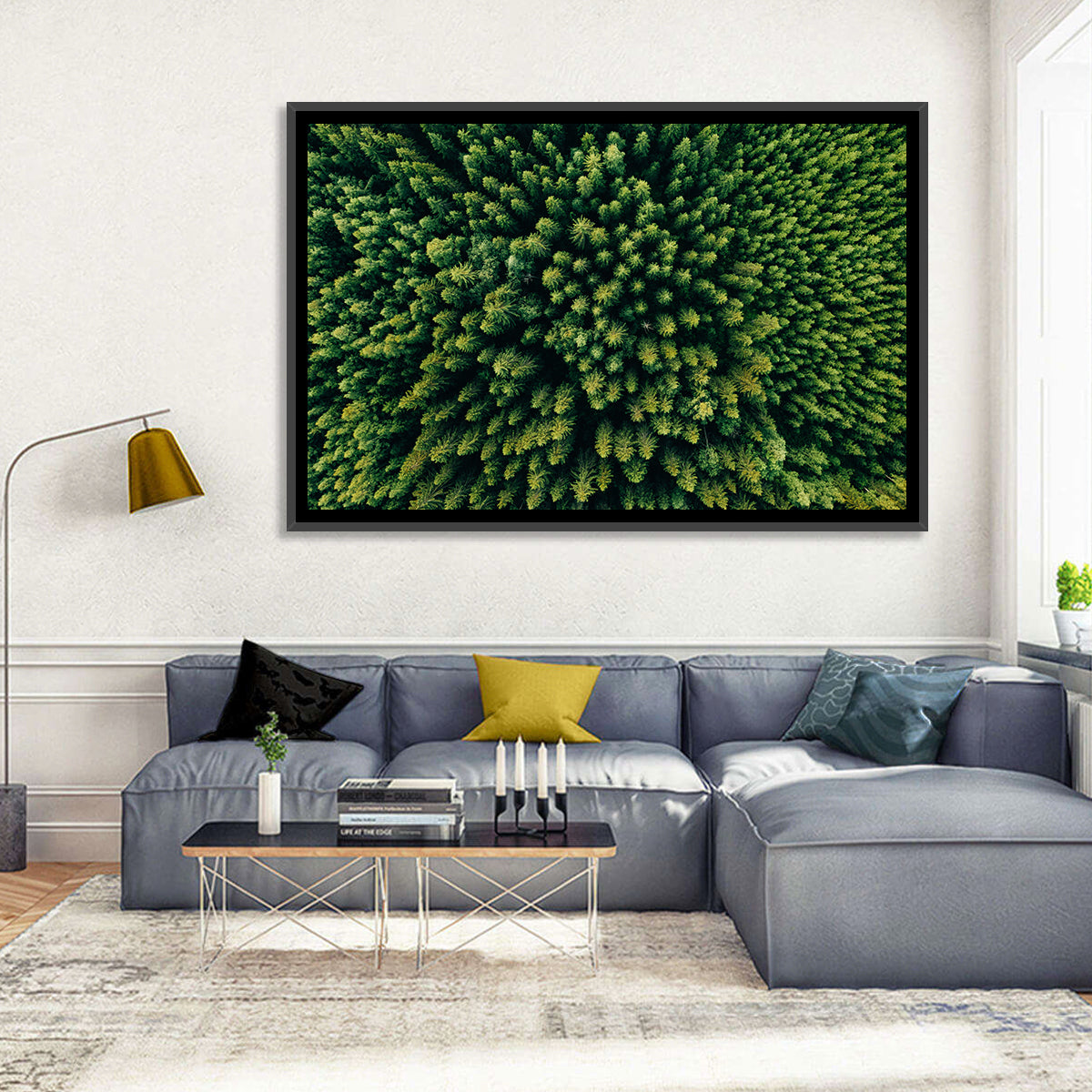 Aerial Conifer Canopy Wall Art in a room, landscape