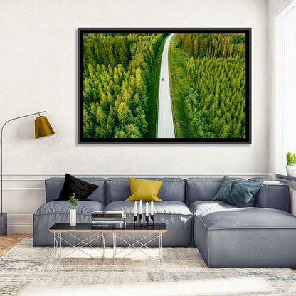 Blue Car on Forest Road Wall Art