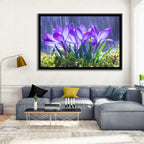 Rainy Purple Crocuses Wall Art