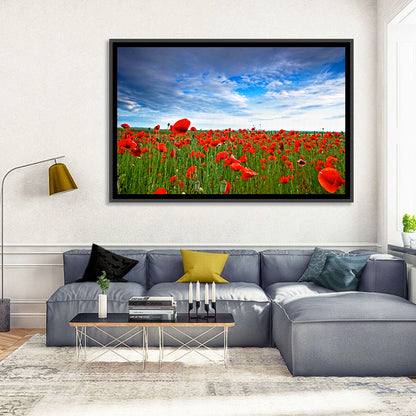 Red Poppy Field Wall Art
