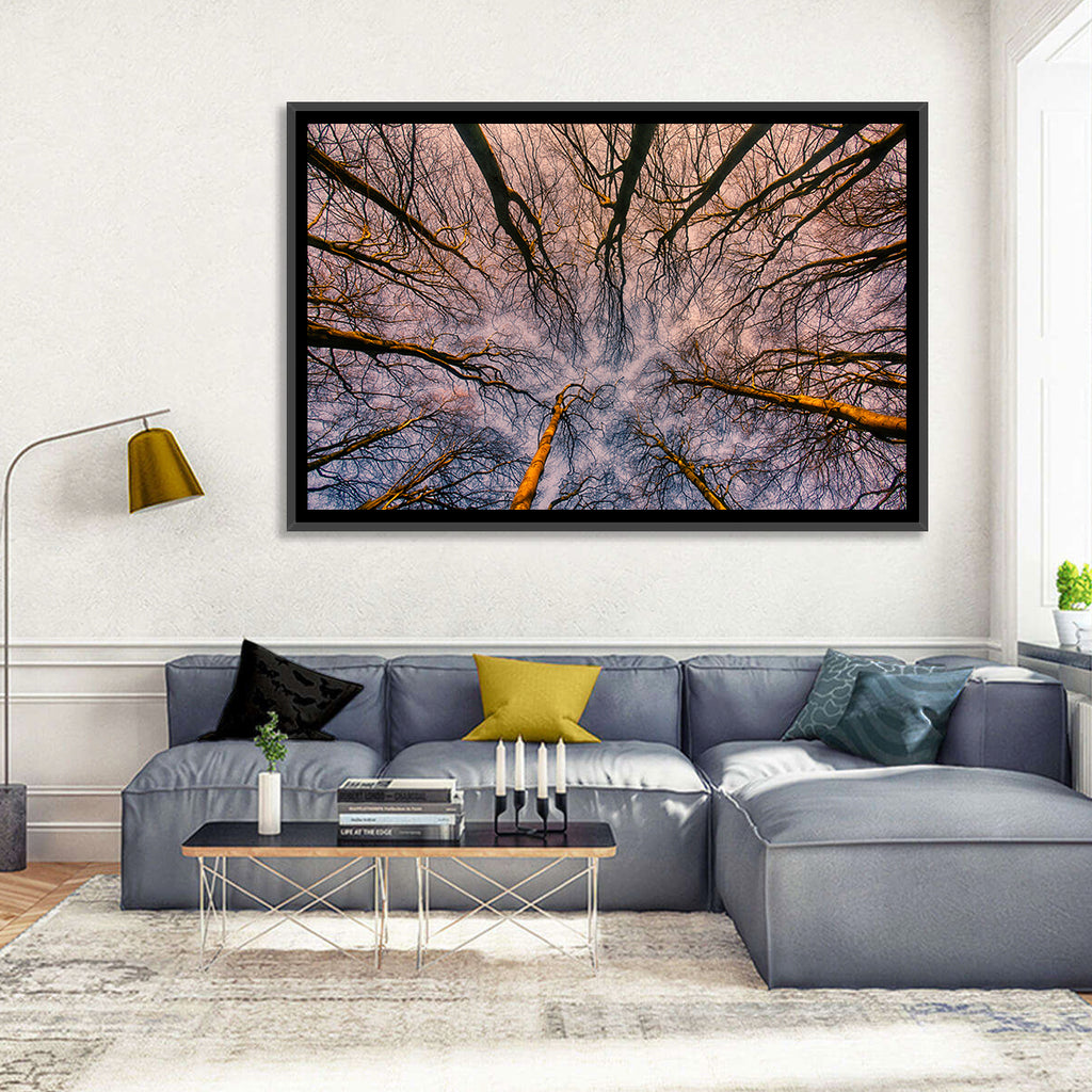 Misty Forest Canopy Wall Art