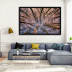 Misty Forest Canopy Wall Art