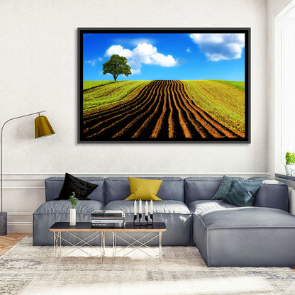 Plowed Field with Lone Tree Wall Art