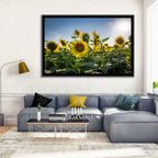 Backlit Sunflower Field Wall Art
