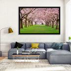 Cherry Blossom Avenue Wall Art