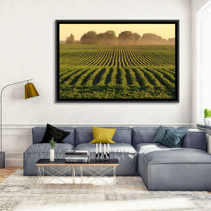 Misty Soybean Field at Dusk Wall Art