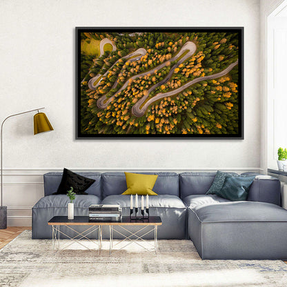 Aerial Curvy Forest Road Wall Art