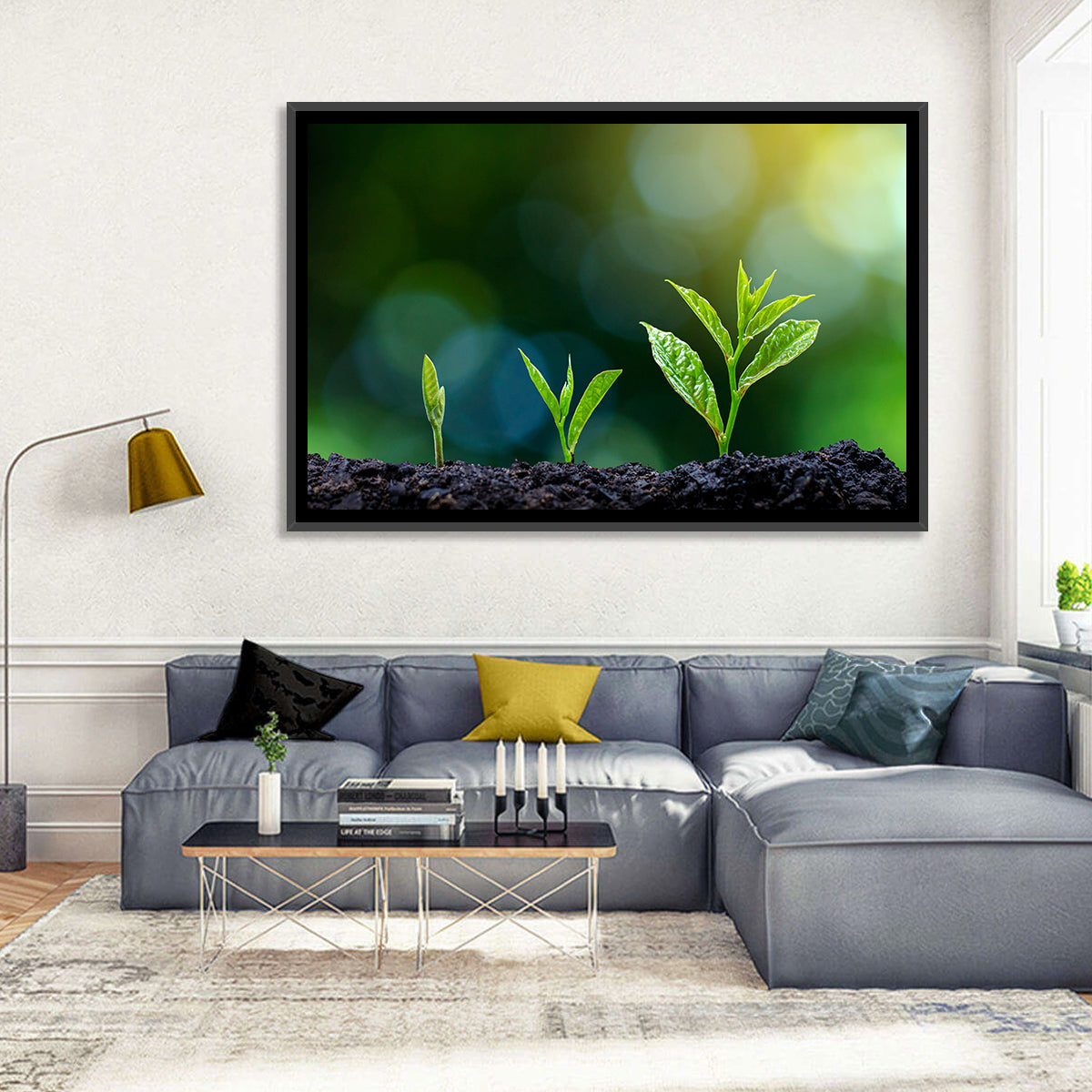 Seedling Growth Stages Wall Art in a room, landscape