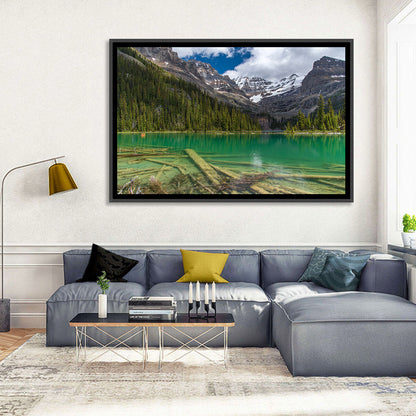 Lake O'hara Reflection Wall Art