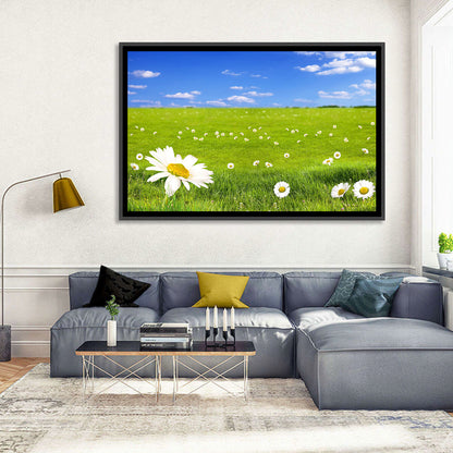 Spring Daisy Meadow Wall Art