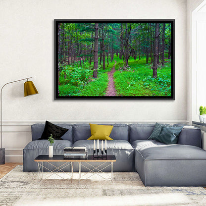 Lush Virginia Forest Trail Wall Art