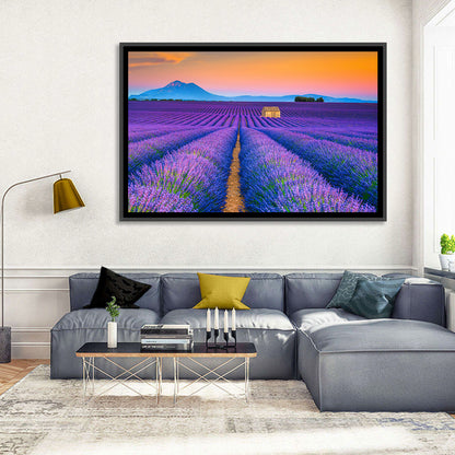 Valensole Lavender Fields at Sunset Wall Art