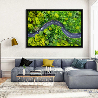 Winding Tropical Forest Road Wall Art