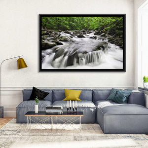 Great Smoky Mountains Stream Wall Art