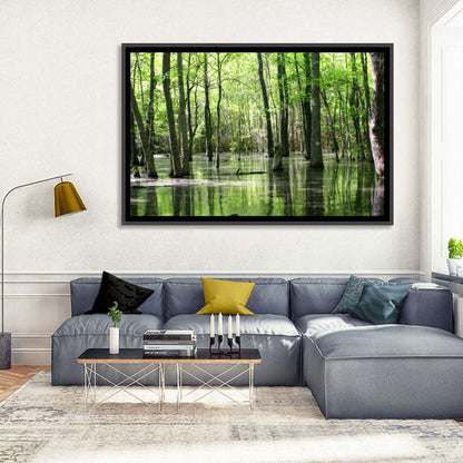 Sunlit Swamp Forest Wall Art