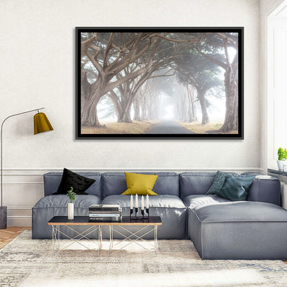 Misty Cypress Tunnel Wall Art