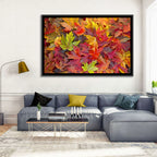 Autumn Maple Leaves Close-up Wall Art