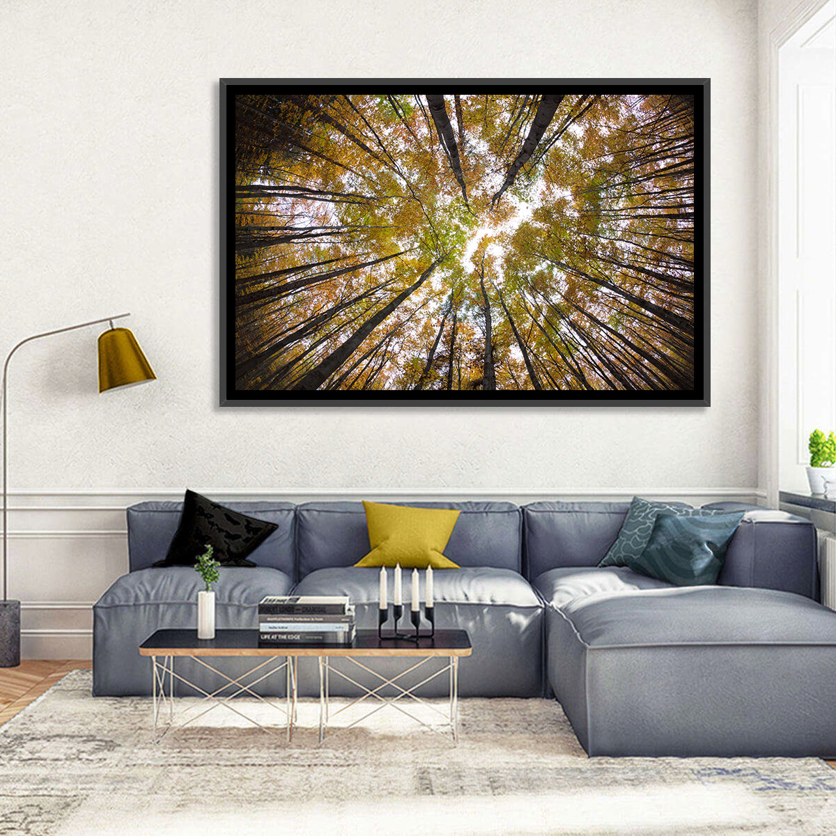 Autumn Forest Canopy Looking Up Wall Art