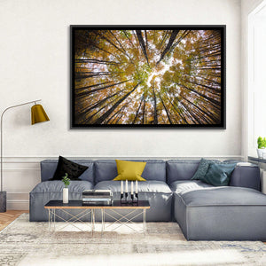 Forest Treetops Wall Art