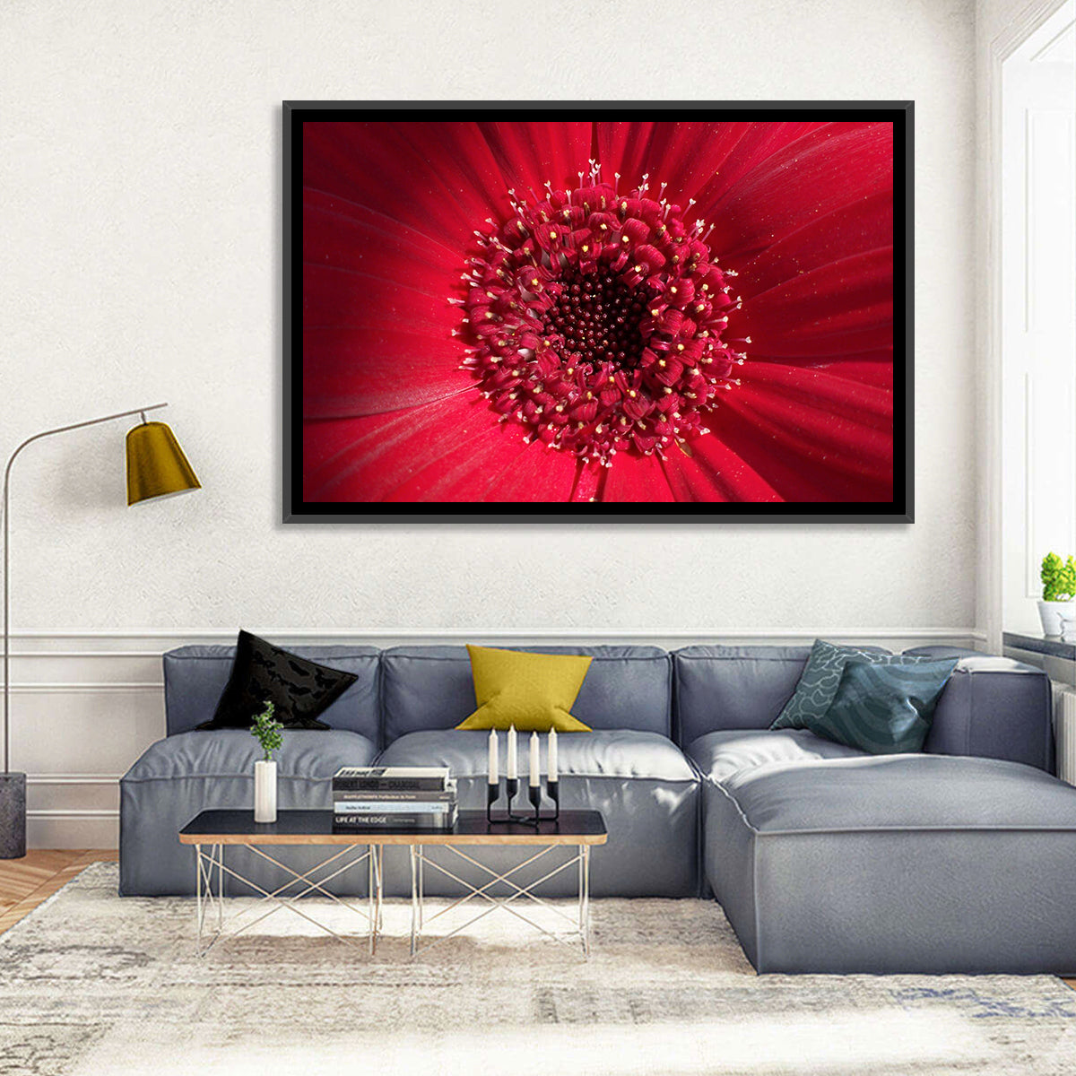 Red Gerbera Daisy Macro Close Up Wall Art