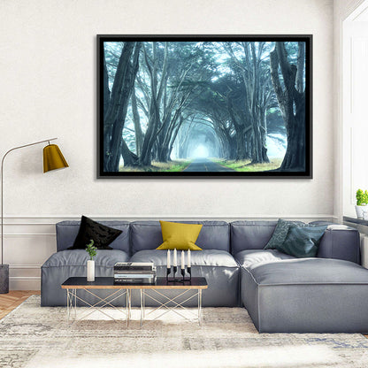 Foggy Cypress Tree Tunnel Wall Art