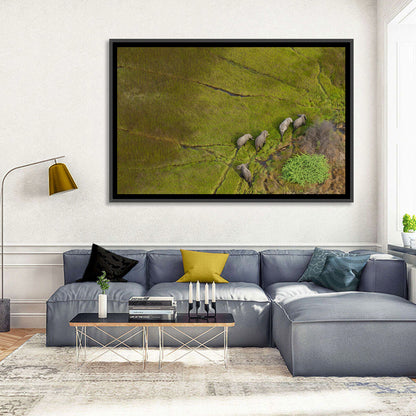 Aerial Herd of Elephants Wall Art