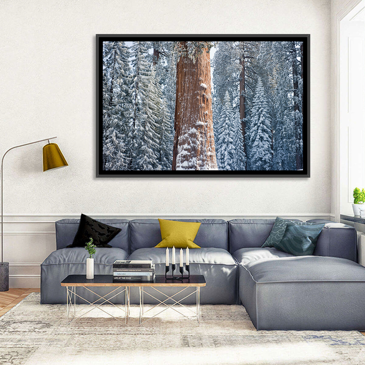 Winter Giant Sequoia in Snowy Forest Wall Art in a room, landscape