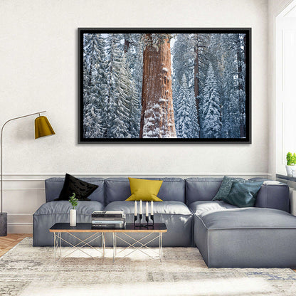 Winter Giant Sequoia in Snowy Forest Wall Art