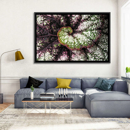Begonia Leaf Spiral Geometry Wall Art