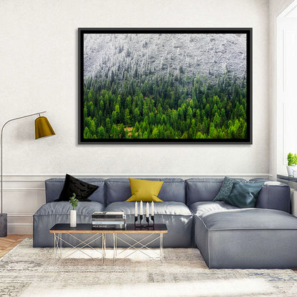 Snowy Dolomites Forest Wall Art