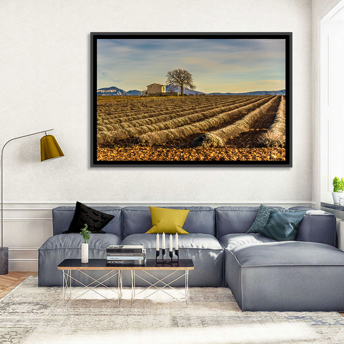 Rustic Provence Lavender Rows at Golden Hour Wall Art